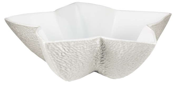 Coupe anis perle - Raynaud
