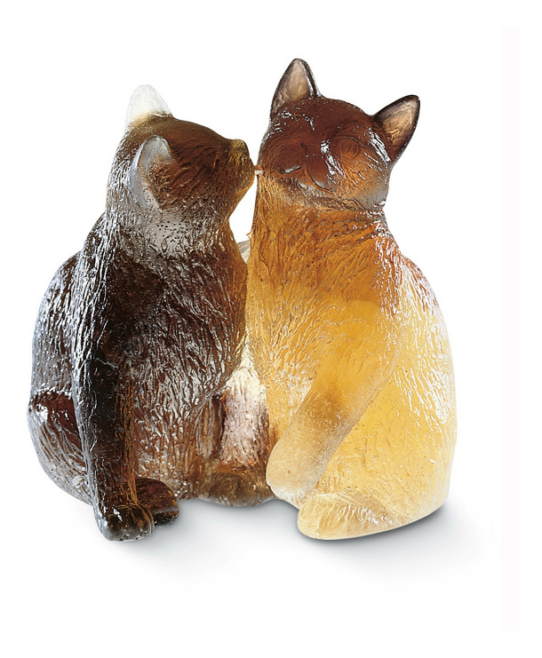 Chatons - Daum