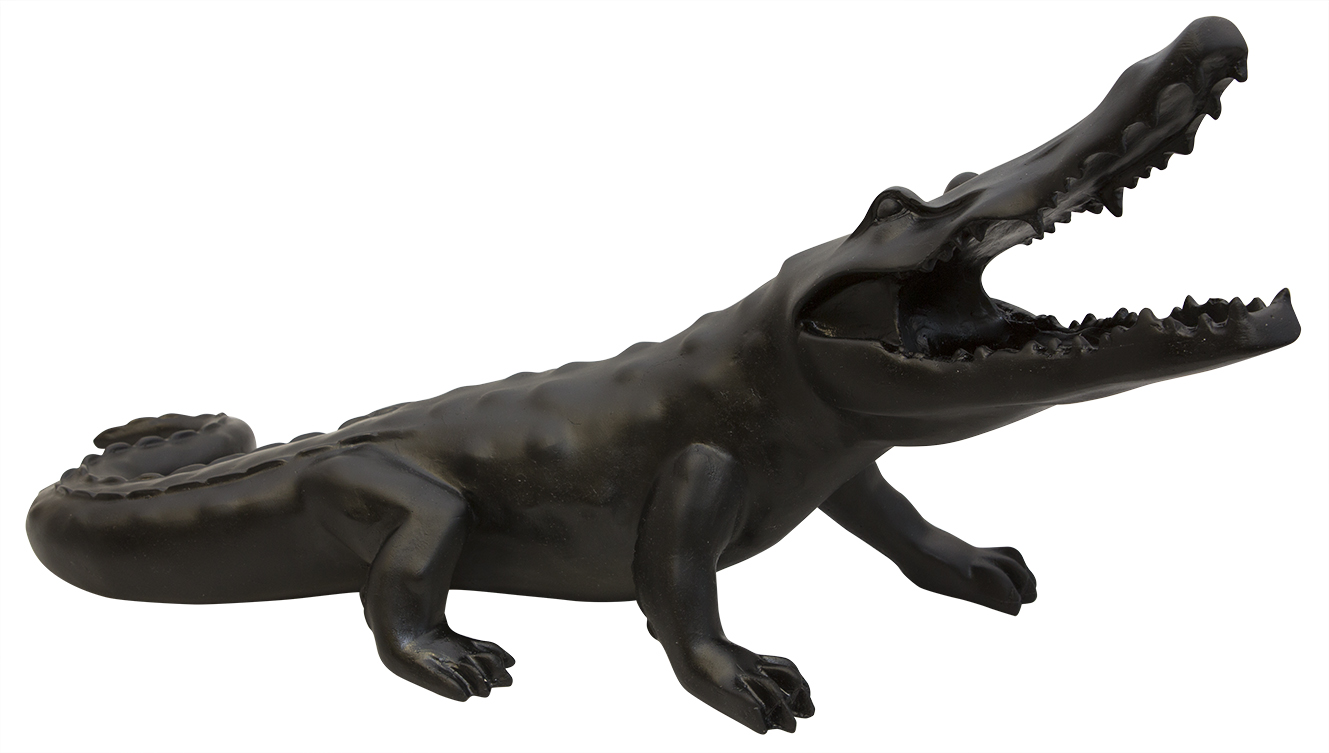 Wild crocodile noir - Daum