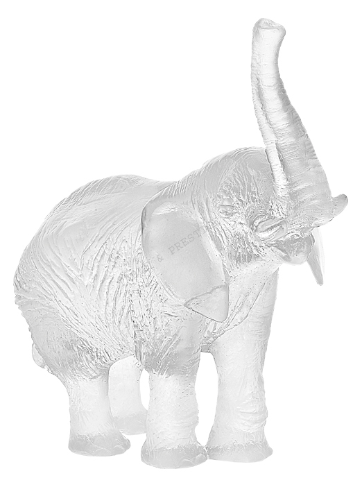 Eléphant blanc - Daum