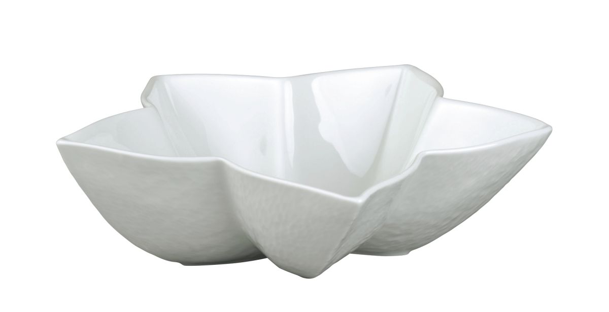 Coupe anis - Raynaud
