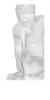 Sculpture flore en cristal incolore - Lalique