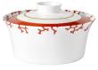 Chinese covered vegetable dish - Raynaud