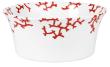 Chinese salad bowl - Raynaud