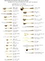 Couteau menu en argent massif doré (vermeil) - Ercuis