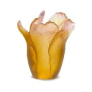 Tulipe