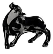 Vuelta bull
