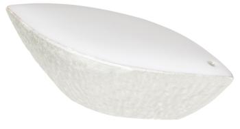 Poivrier perle - Raynaud