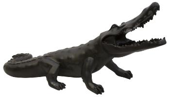 Wild crocodile noir - Daum