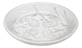 Coupelle plate Ombelles Clair - Lalique