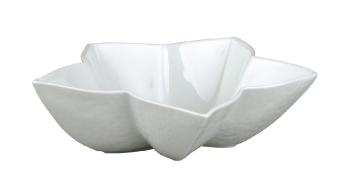 Coupe anis - Raynaud