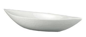 Plat navette n°2 - Raynaud