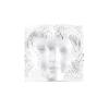 Masque de femme decorative panel clear and framed and large size - Lalique