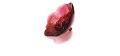Anemone sculpture in red crystal, small size red - Lalique